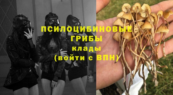 ПСИЛОЦИБИНОВЫЕ ГРИБЫ Арсеньев